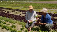 708  Washington's Small Farms