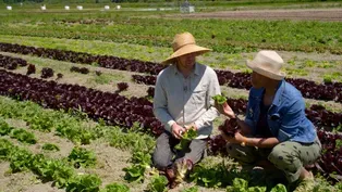 708  Washington's Small Farms