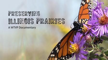 Video thumbnail: Preserving Illinois Prairies Preserving Illinois Prairies | Trailer