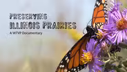 Preserving Illinois Prairies | Trailer