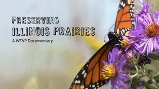 Preserving Illinois Prairies | Trailer