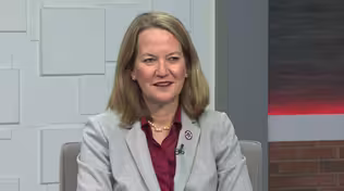 Attorney General Kris Mayes, Bird Population Decline, Mental Coaching for Athletes