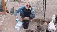 5 Spring Gardening Tips