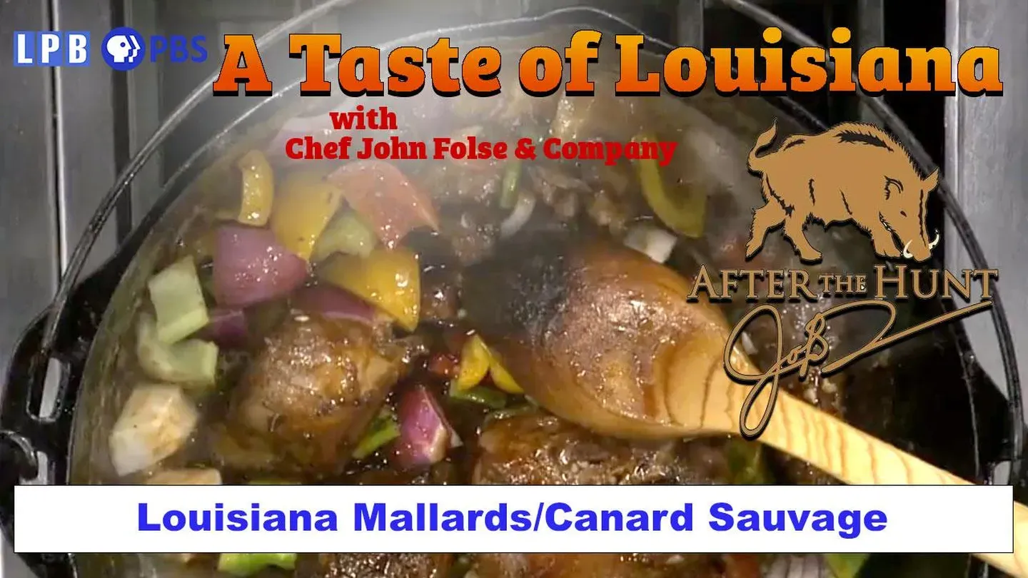 Louisiana Mallards/Canard Sauvage