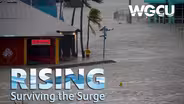 Rising: Surviving The Surge