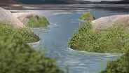 How Plants Caused the First Mass Extinction