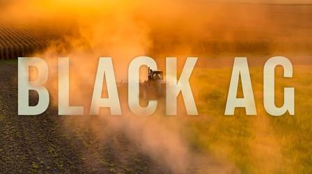 Video thumbnail: REEL SOUTH Black Ag | Official Trailer