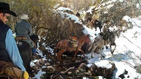 Video thumbnail: Wyoming Chronicle The Shoshone Chapter of the Back Country Horsemen
