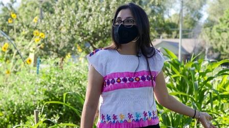 Video thumbnail: Modern Gardener Three Sisters Planting and La Milpa