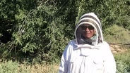 Beekeeper