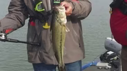 Trout Fishing, Remembering Bobby Gentry, Deer Count