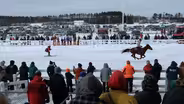 Equestrian Skijoring