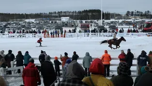 Equestrian Skijoring