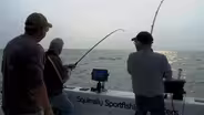 Lake Ontario, Oswego NY/Lee Hinkleman