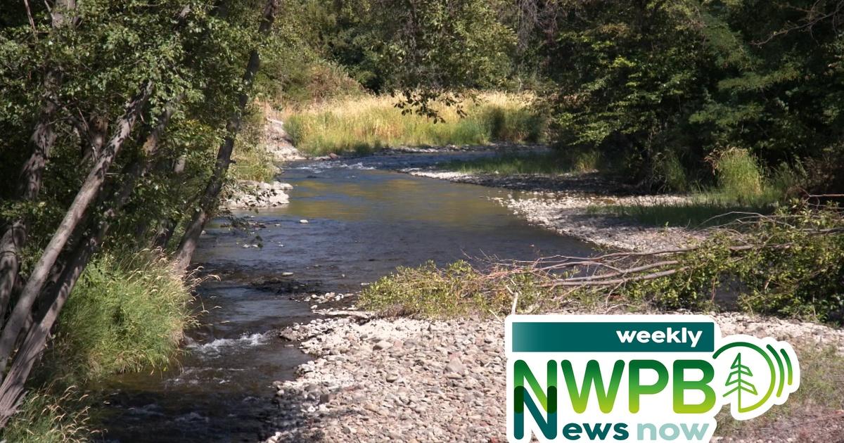 NWPB Weekly News Now | June 21, 2024 | Season 2024