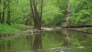Chasing Kentucky's Earthbound Stars, 50 Years of Kentucky's Nature Preserves, A Leader's Legacy