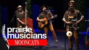 Prairie Musicians: MoonCats