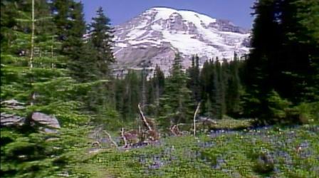 Video thumbnail: NatureScene Mt. Rainier National Park (1986)
