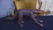 Appraisal: Manuel Jiménez Ramírez Alebrije, ca. 1995