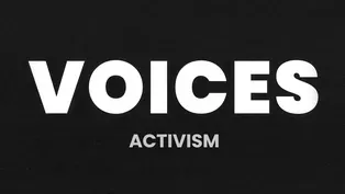 VOICES: Activism