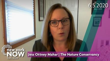 Video thumbnail: New York NOW The future of the Restore Mother Nature Bond Act