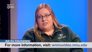 Delivering Farm Animals: What Vets Do & Who They Help