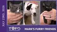 7/23/2026 | Tin Man, Frown and Selena Gomez | Mark's Furry Friends
