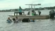 Saving Scallops