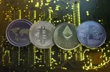 Future of cryptocurrencies in question after plunge in value