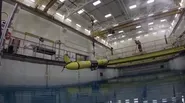 Underwater Drones; Birds; Asteroids & Girl Coders