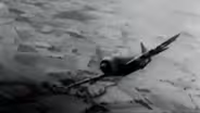 Tuskegee Airmen