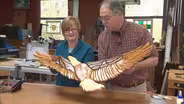 Intarsia Flying Eagle Scrollsaw Folk Art with Scorched Wood
