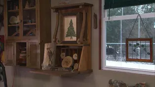 The Wall Desk and Room Organizer