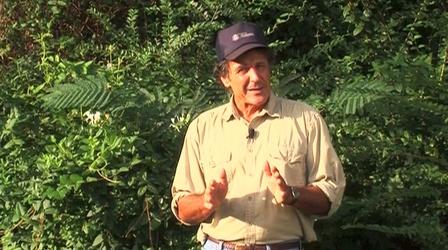 Video thumbnail: Discovering Alabama Invasive Species