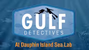Gulf Detectives at Dauphin Island Sea Lab