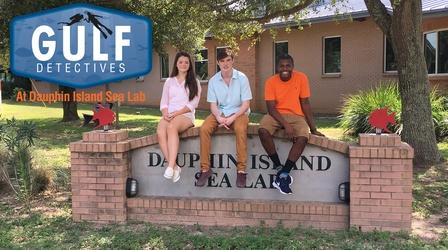 Video thumbnail: Learning Adventures Gulf Detectives at Dauphin Island Sea Lab, Episode 2