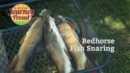Redhorse Fish Snaring