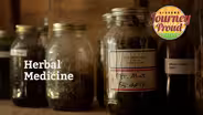 Herbal Medicine