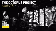 The Octopus Project