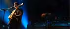 The XX