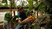 Unique Homestead Garden & Pruning Paint