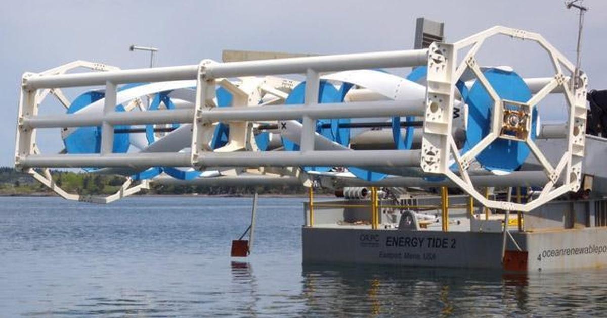 Maine Watch with Jennifer Rooks | Tidal Power / Pet Population Control ...