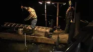 Maine's Elver Fishery