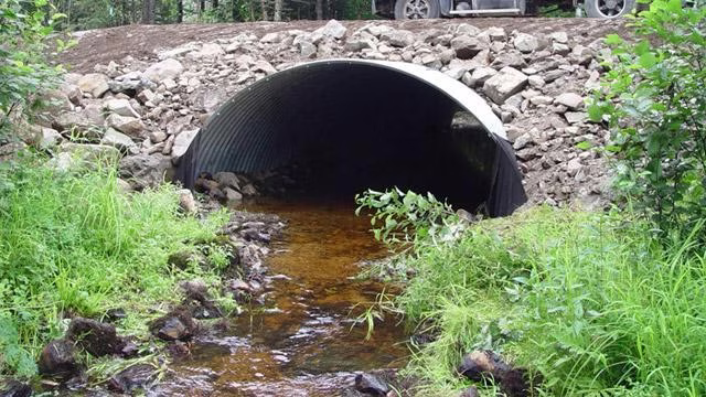 Maine Watch with Jennifer Rooks