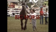 Big Horse