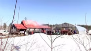 Goranson Farm, Maine Maple Sunday