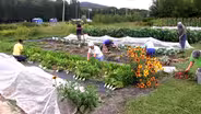 Gardeners Growing Healthy Communities