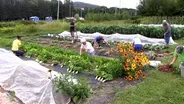Gardeners Growing Healthy Communities