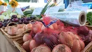 Brunswick Farmer’s Market