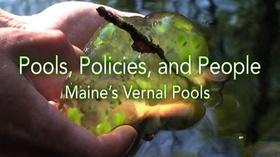 Video thumbnail: Sustainable Maine Pools, Policies and People